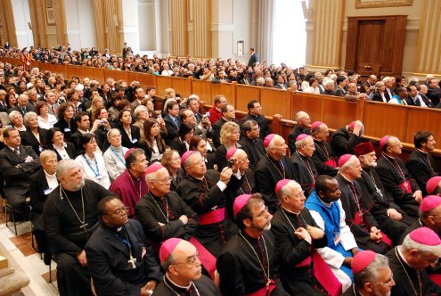 Udienza con il Santo Padre fraternity