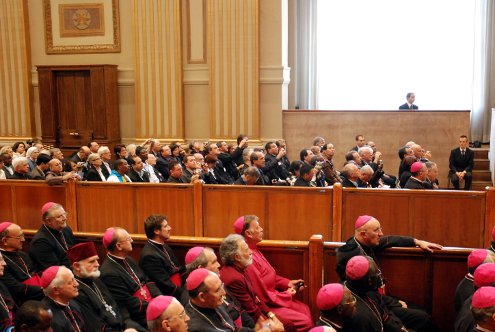 Udienza con il Santo Padre fraternity